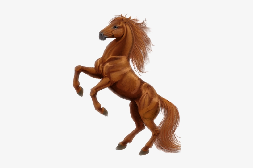 Horse Color Genetics, transparent png #3887575