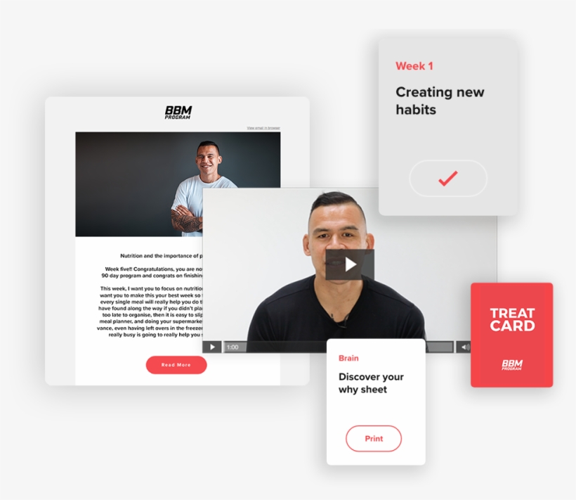 Brain Layout Updated - Brain, transparent png #3887789