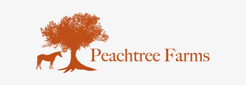 Peachtree Logo Web1 - 3drose Llc 8 X 8 X 0.25 Inches Mouse Pad, We Aim To, transparent png #3887834