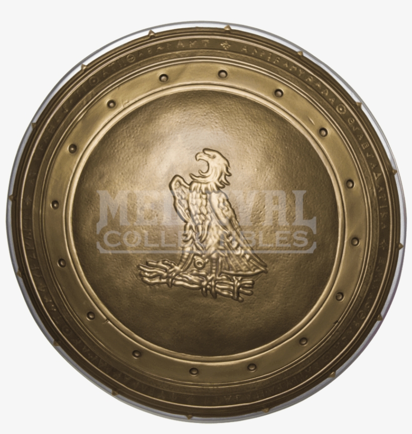 Adult Wonder Woman Shield - Batman Vs Superman Wonder Woman Shield, transparent png #3887910