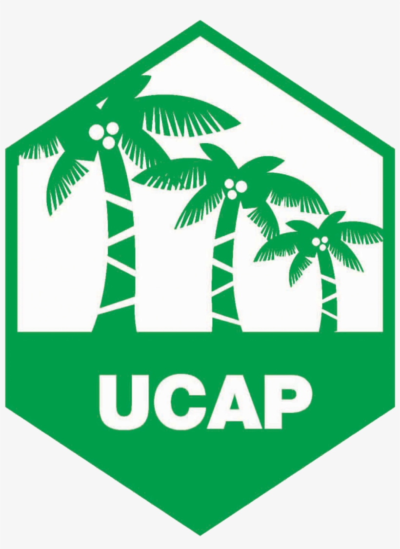 United Coconut Association Of The Philippines, Inc, transparent png #3888019