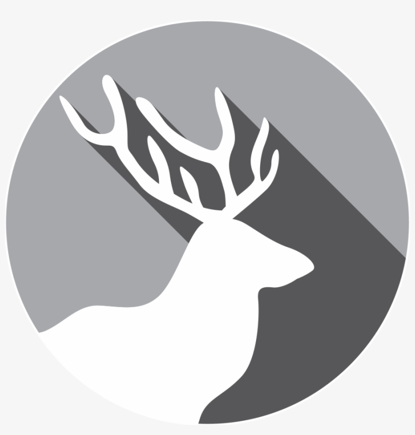 February 14, 2017 - Animal, transparent png #3888723