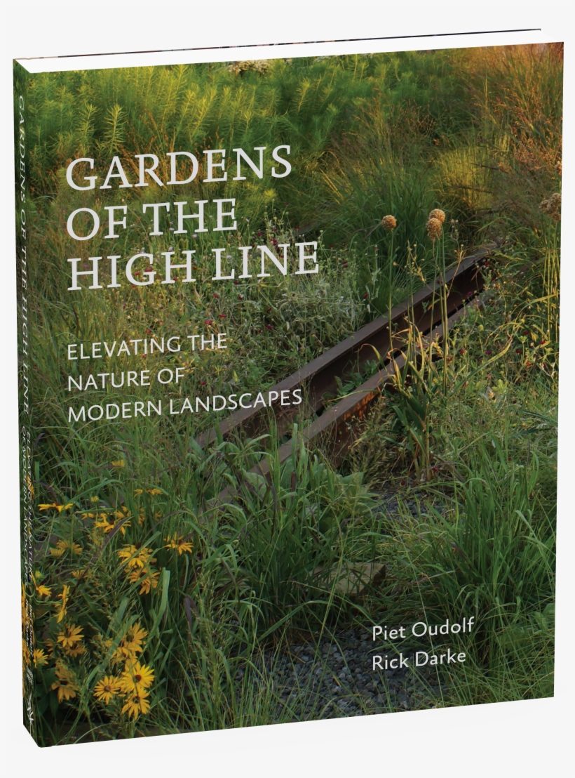 View Full Size Image - Gardens Of The High Line Elevating The Nature Of Modern, transparent png #3888894