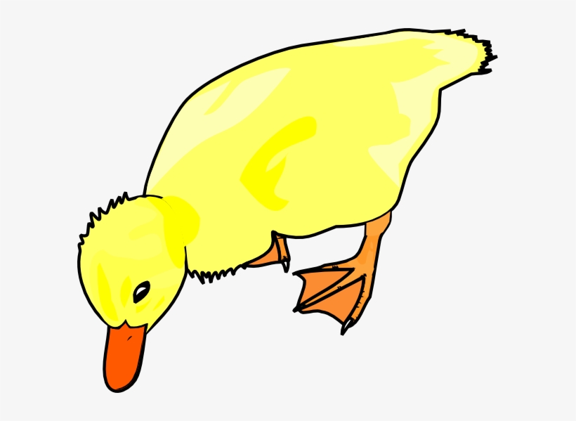 Chick Eating Svg Clip Arts 600 X 519 Px, transparent png #3889061
