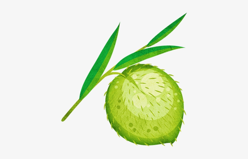 Swan Plant, transparent png #3889313