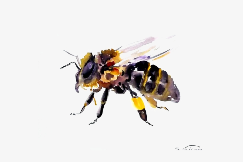 Bee Transparent Background Png - Transparent Watercolor Bee, transparent png #3889774
