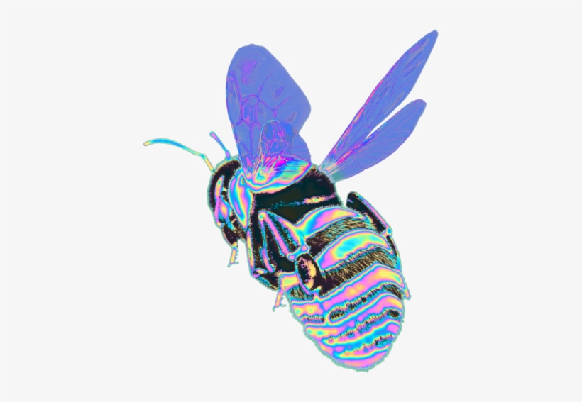 Go To - Www - Redbubble - Com/people/dinaaaaaah Some - Honeybee, transparent png #3890044