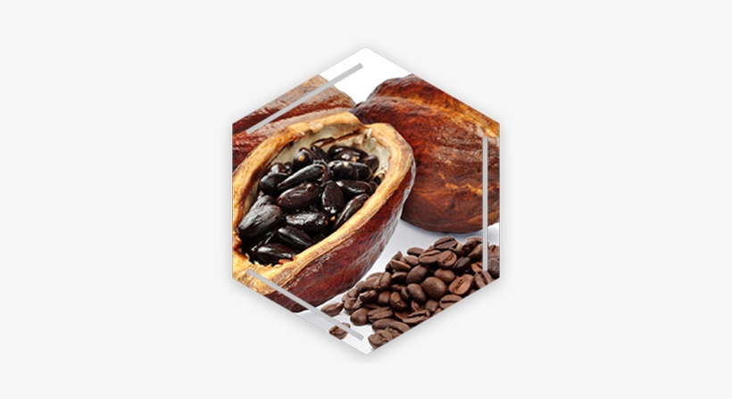 Serv Kafe I Kakao Ho - Ceramic Burr Manual Coffee Grinder Portable Hand Crank, transparent png #3890114