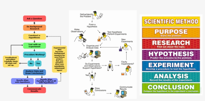 Scientific Process - Give The Steps In Scientific Method, transparent png #3890290