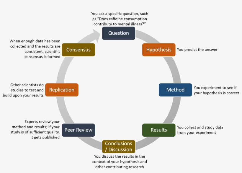 Scientific Research - Activities For Students, transparent png #3890339