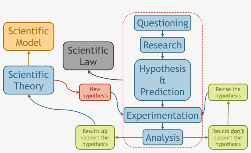 The Scientific Method - Diagram, transparent png #3890625