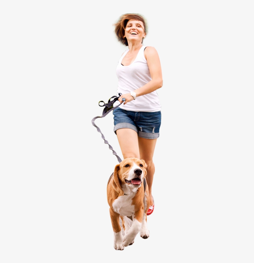 We Partner With Rescues And Animal Control Agencies - Ipets Pet619s-1 ...