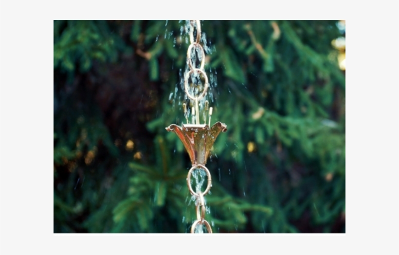 Flowers Rain Chain - Good Directions 463p-8 13 Cup Tulip Rain Chain - Polished, transparent png #3891121
