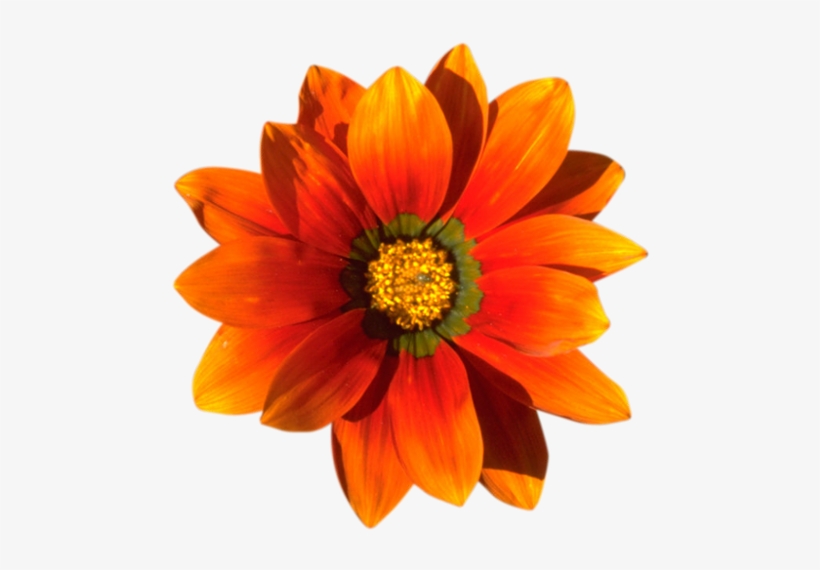 Vhs Distortion After Effects Tutorial - Happy Mothers Day 2018 To My Sister, transparent png #3891975