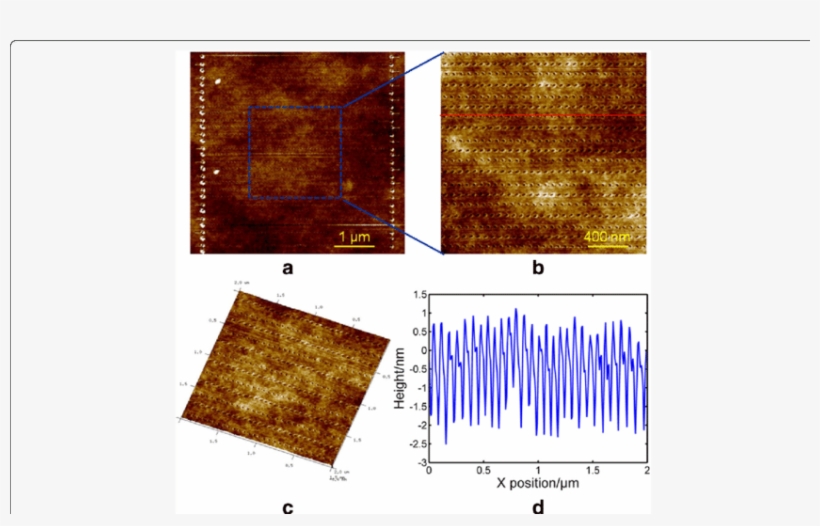 Afm Images Of An Array Of Pits With A Scratching Velocity - Bronze, transparent png #3892342