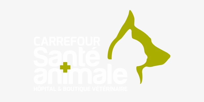 Graphic Design, transparent png #3893168