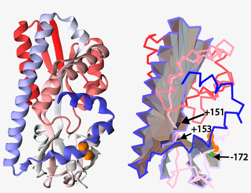 6 Example Of A Unique Configuration When A Segment - Graphic Design, transparent png #3893195