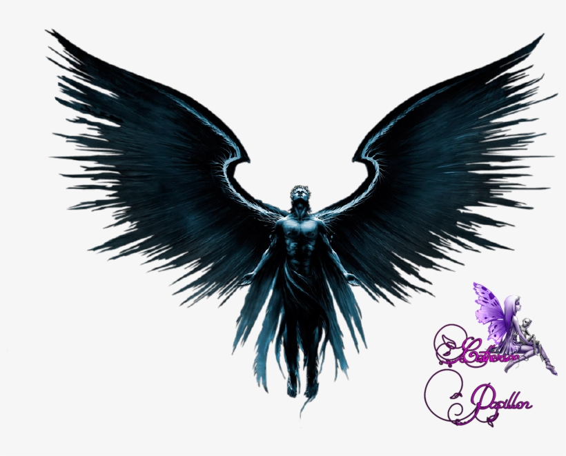 Spoiler - Wallpaper, transparent png #3894398