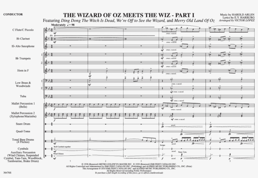 The Wizard Of Oz Meets The Wiz - Document, transparent png #3894841