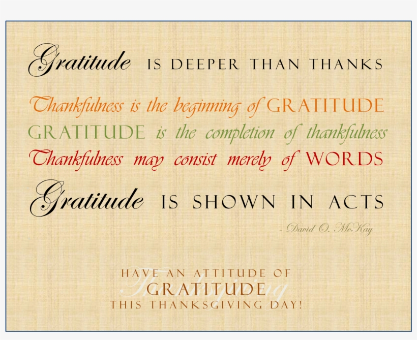 Gratitude And Attitude Quote - No Gratitude Attitude Quotes, transparent png #3895069