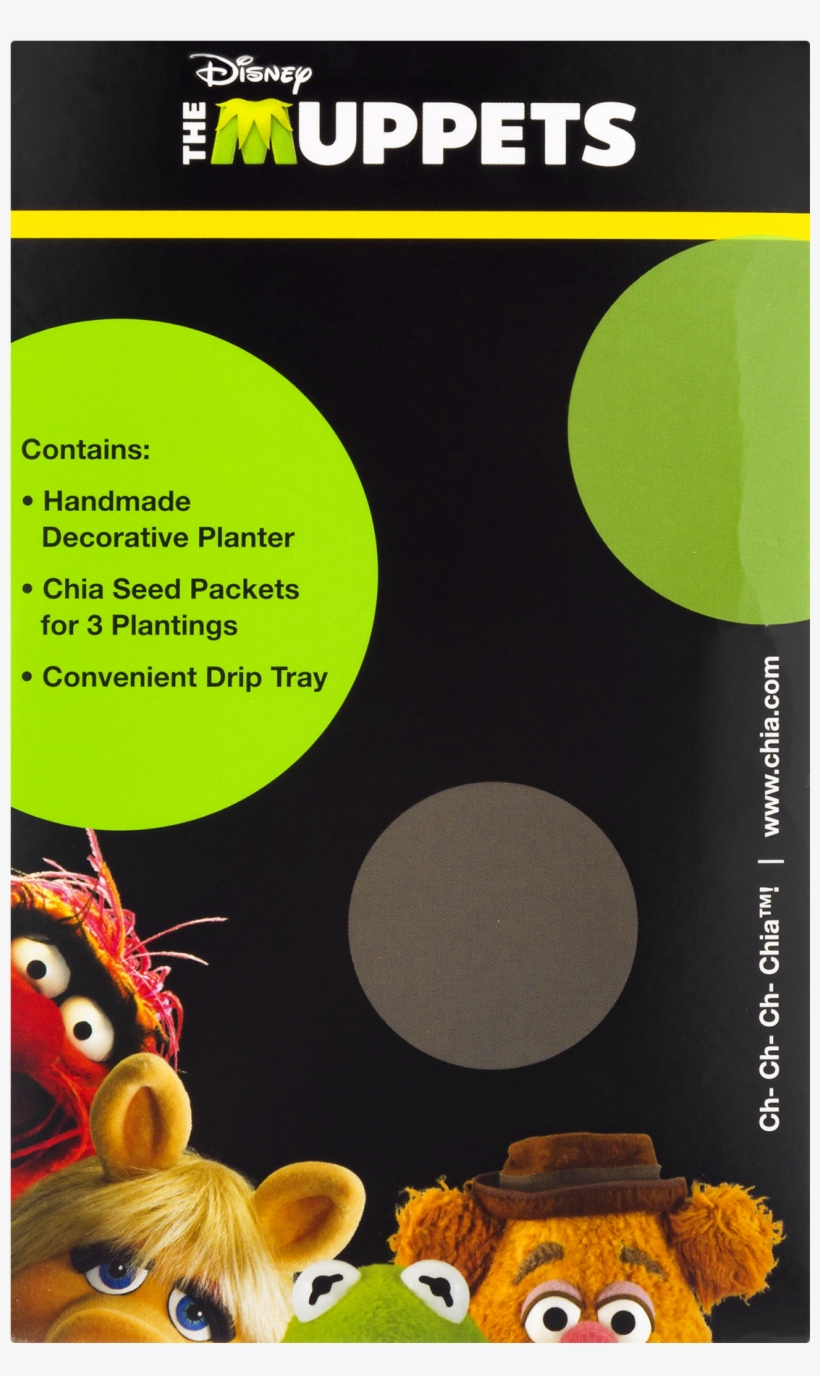 As Seen On Tv Chia Pet - Chia Pet, transparent png #3895385