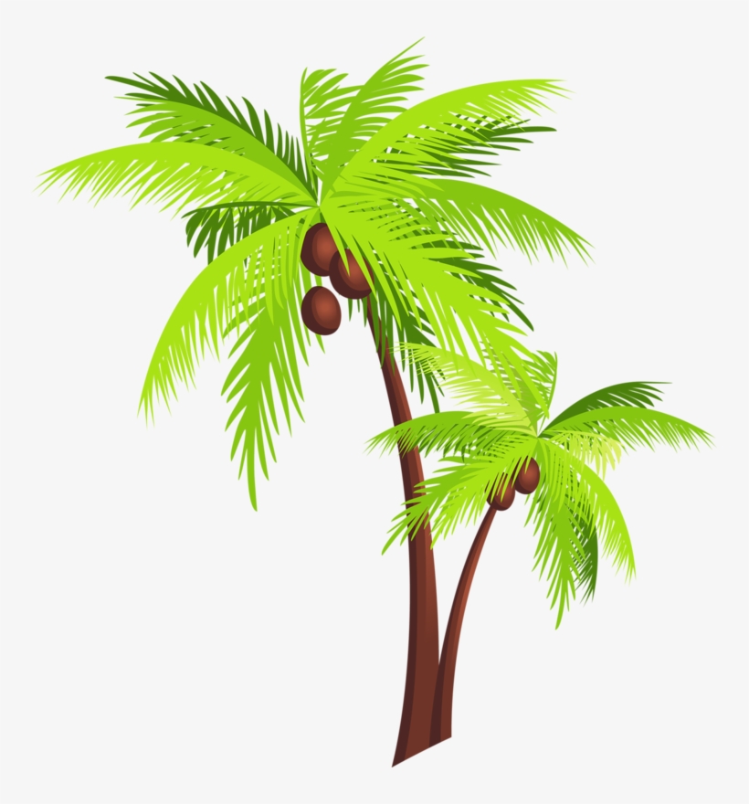 Coconut Tree Png Free Download - Coconut Tree Png, transparent png #3896382