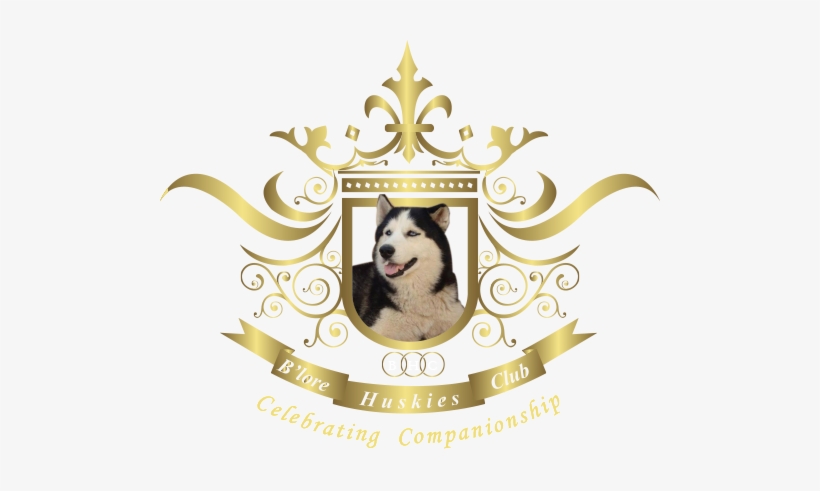 "its A Special Bond Yours And Mine, As Special As The - Canadian Eskimo Dog, transparent png #3896384