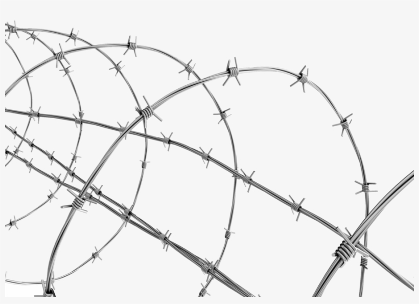 Transparent Background Barbed Wire Png, transparent png #3896480