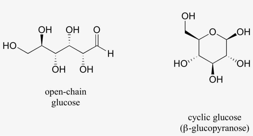 One Thing That You Should Notice In The Cyclic Structure - Acyclic Organic Molecule, transparent png #3896600