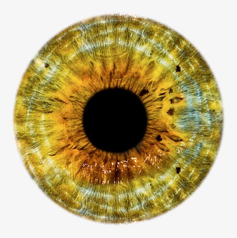 Golden Eyes, Dragon Eye, All Seeing Eye, Yellow Eyes, - Yellow Eye Lens Png, transparent png #3896778