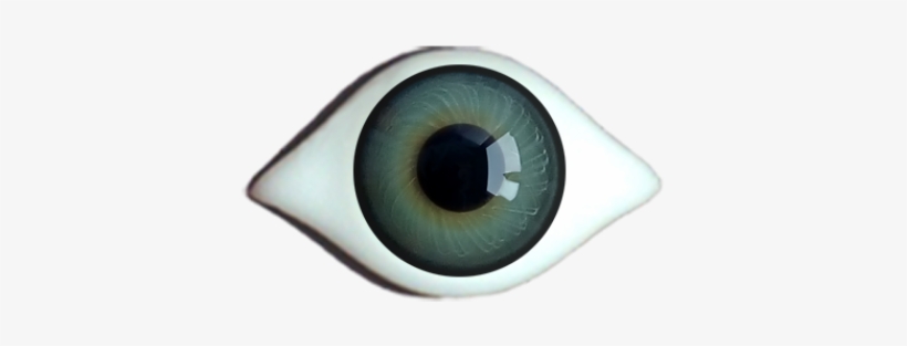 Iris Rim Eyes - Grey, transparent png #3896869