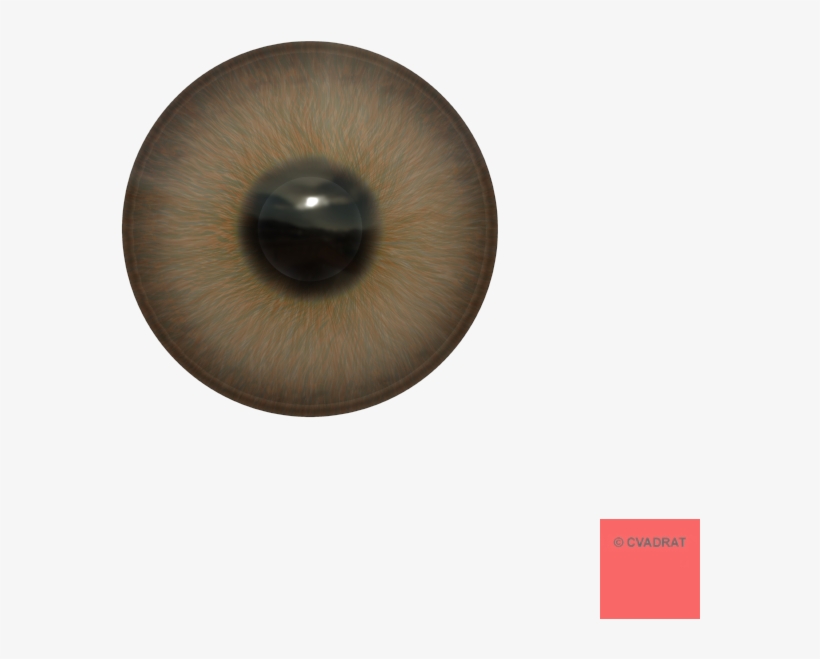 Information, transparent png #3896981
