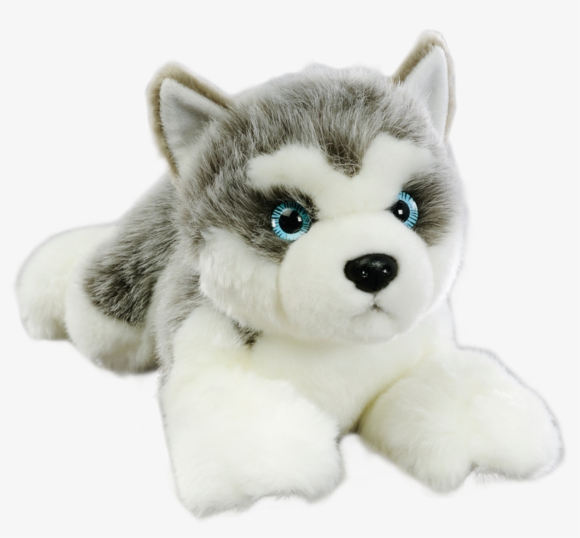 My Friend Kennel Puppy, Husky &, transparent png #3897039