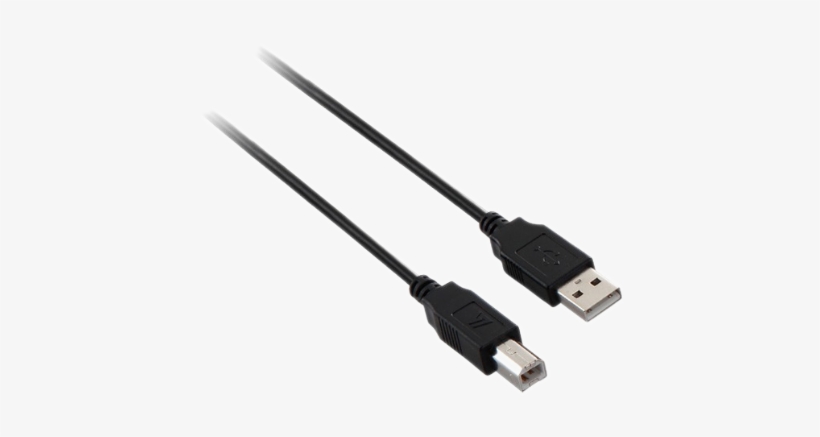 V7 Usb - V7 Usb 2.0 Cable - 6ft, transparent png #3897292