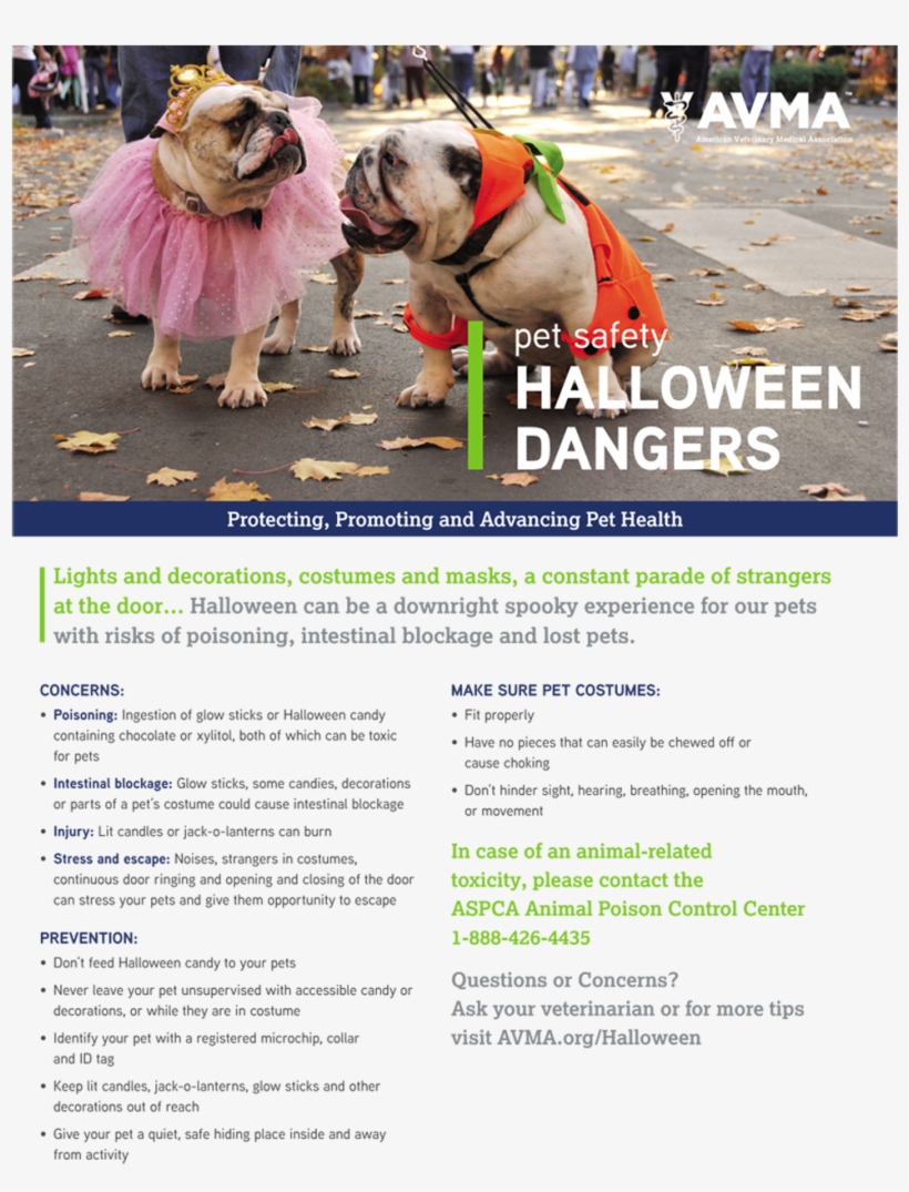 Halloweenpetsafety-1, transparent png #3898039