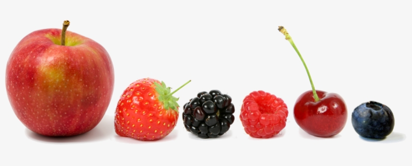 The Importance Of Fruits & Vegetables And Buying Local - Lipstick Chart Dark Red, transparent png #3898965