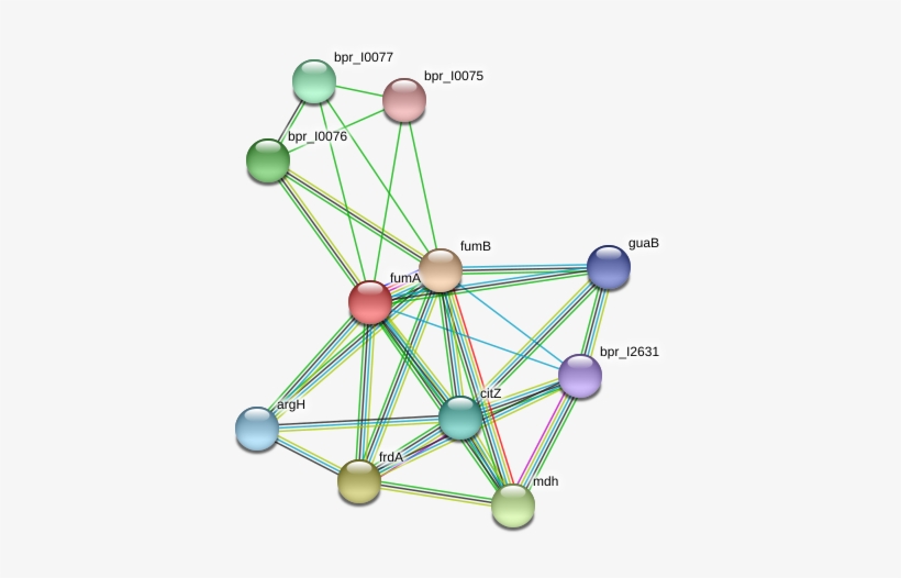Ferris Wheel, transparent png #390022
