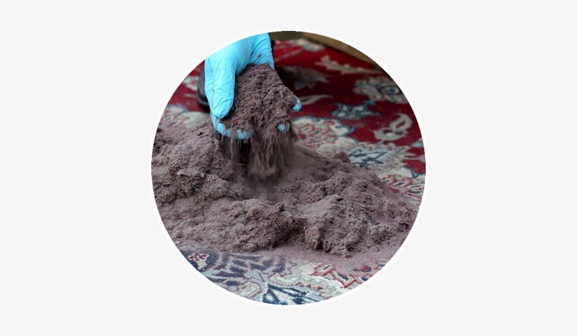 Carpet Cleaning, transparent png #390185