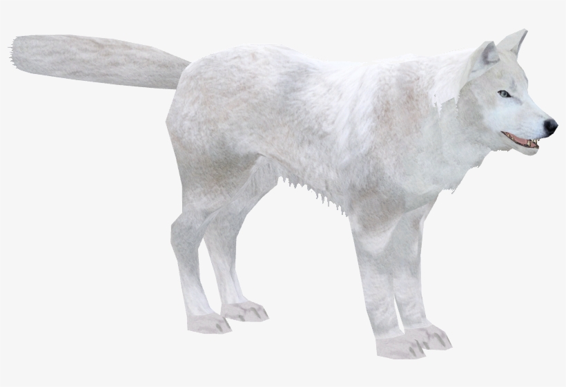 Arctic Wolf - Zoo Tycoon 2, transparent png #390743