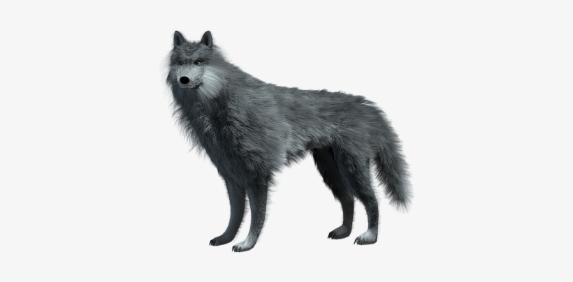 Wild Animal Mammal Wolf Carnivores Predato - Winter Is Coming Mugs, transparent png #391189