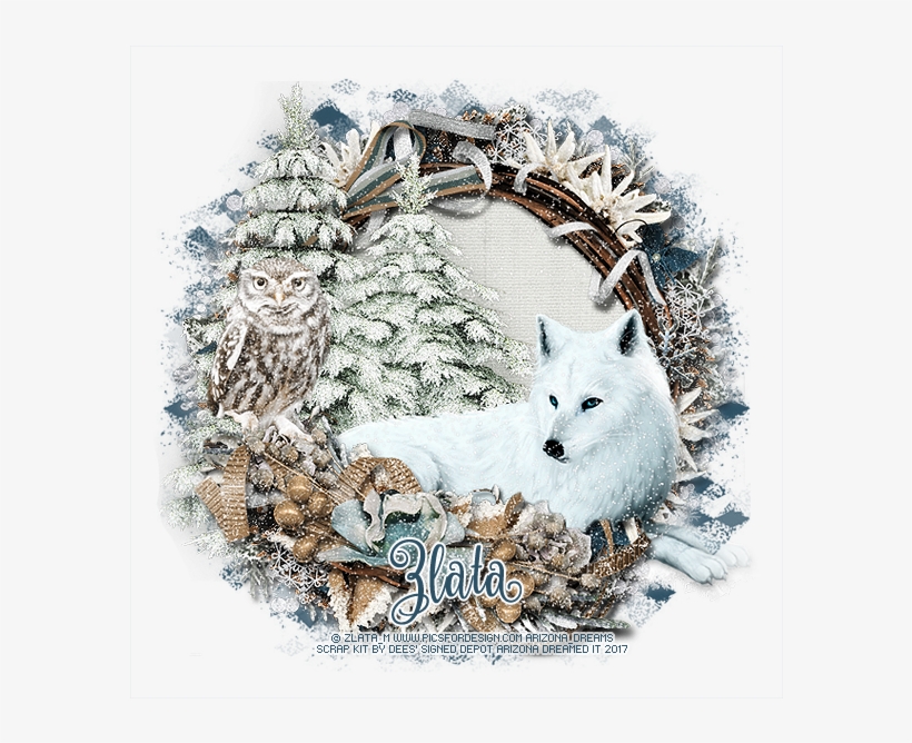 White Wolf - Red Fox, transparent png #391316
