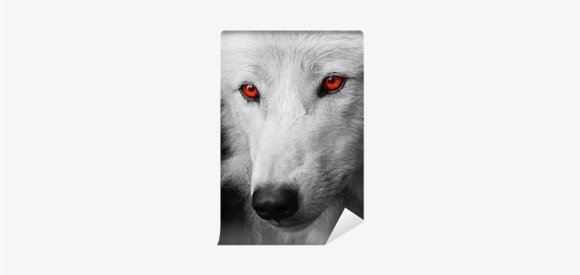 White Wolf Red Eyes Free Transparent Png Download Pngkey