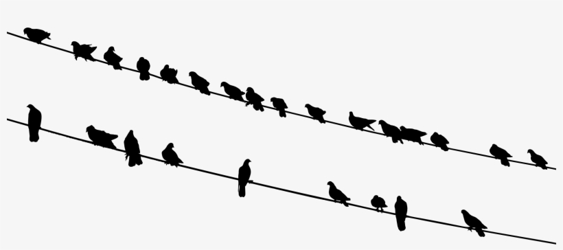 This Free Icons Png Design Of Birds On Wires Silhouette, transparent png #392467