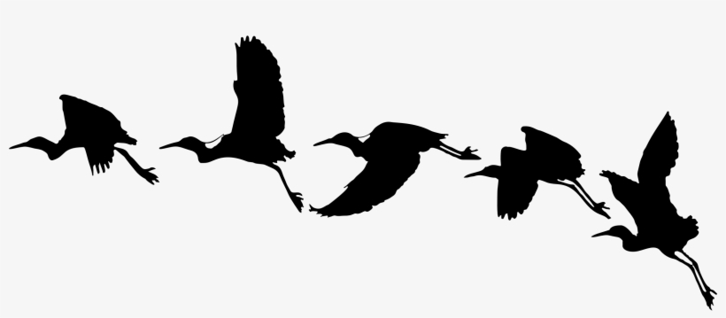 Big Image - Bird Flying Vector Png, transparent png #392583