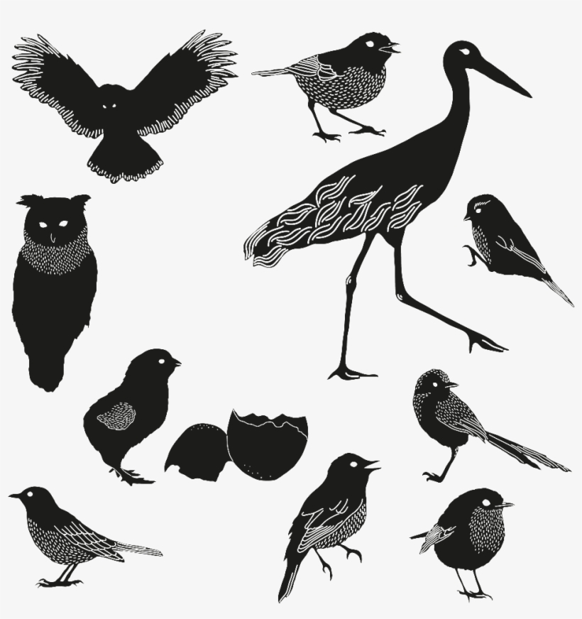 Transparent Black Silhouettes Of Birds Of All Sizes - Clr:mb - Flying Night Owl - Trackpad | Tablet Vinyl, transparent png #392632