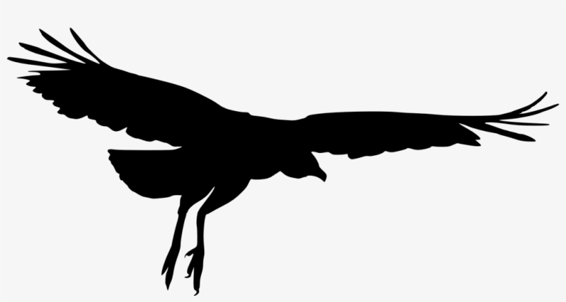 Png File Size - Transparent Eagle Wing Silhouette, transparent png #392683