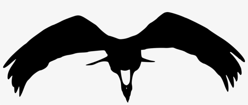 Png File Size - Transparent Eagle Bird Silhouette, transparent png #392732
