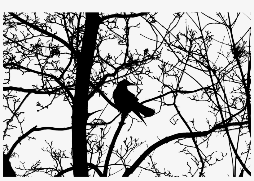 Bird In Tree Silhouette Clip Art Freeuse - Silhouette Black And White Clipart, transparent png #392751