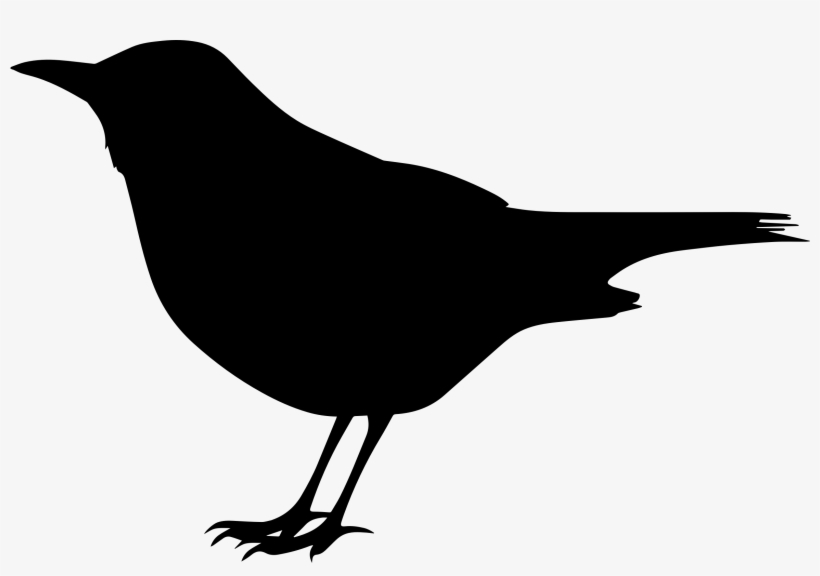 Blackbird Clipart Transparent - Clip Art Black Bird, transparent png #392781