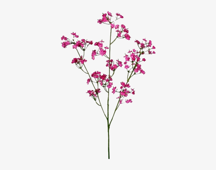 Flower, transparent png #392805